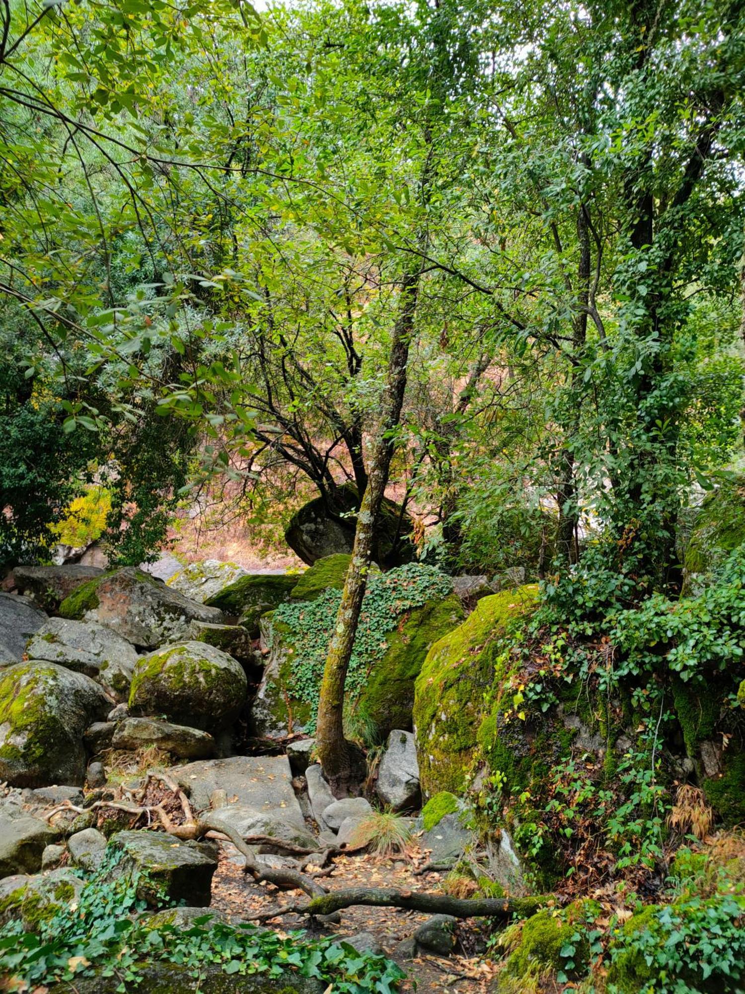 Acogedor Apartamento Valle Del Jerte Piornal Extérieur photo